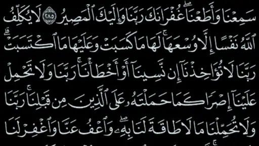 القرآن الكريم - مصحف المدينة screenshot 4