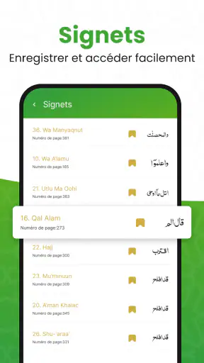 القرأن الكريم - Al Coran screenshot 7