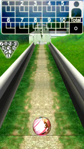 3D Bowling screenshot 12