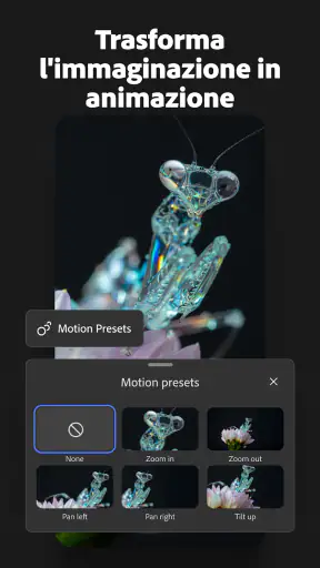 Adobe Firefly: generatore IA screenshot 5