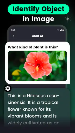 AI Chat・Ask Chatbot Assistant screenshot 8