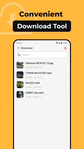 All Browser screenshot 10