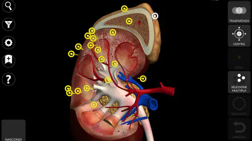 Anatomia - Atlante 3D screenshot 12