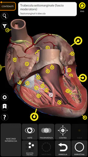Anatomia - Atlante 3D screenshot 3