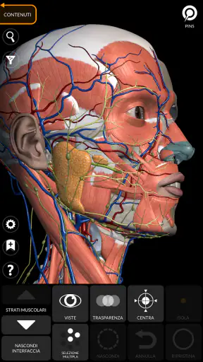 Anatomia - Atlante 3D screenshot 6