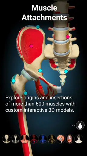 Anatomy Learning - Anatomía 3D screenshot 12