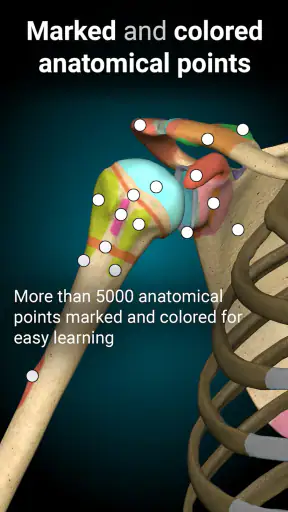 Anatomy Learning - Anatomía 3D screenshot
