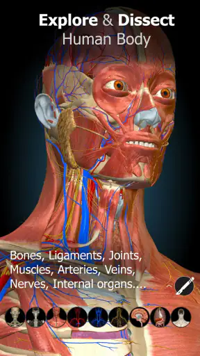 Anatomy Learning - Anatomía 3D screenshot 9
