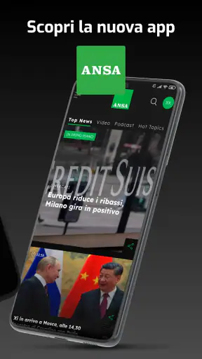 ANSA screenshot 2