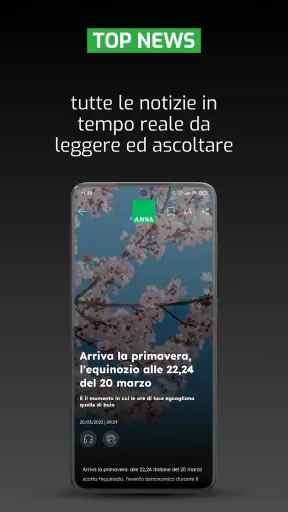ANSA screenshot 3