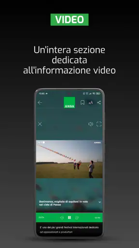 ANSA screenshot 4