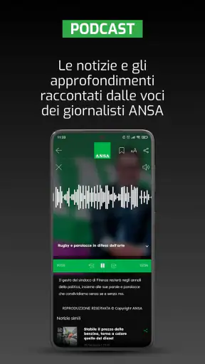 ANSA screenshot 5