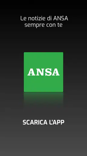 ANSA screenshot 8