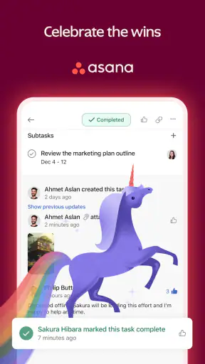 Asana: gestione del lavoro screenshot 7