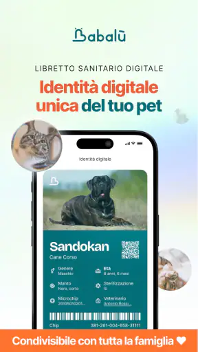 Babalù | Pet Owner->Pet Lover screenshot