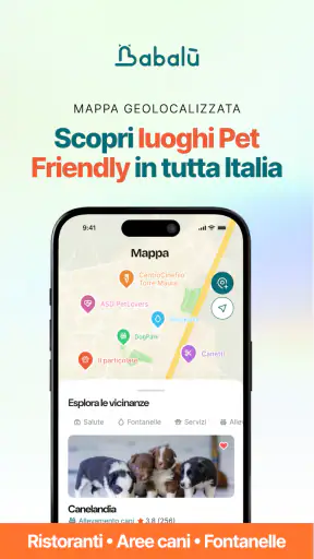 Babalù | Pet Owner->Pet Lover screenshot