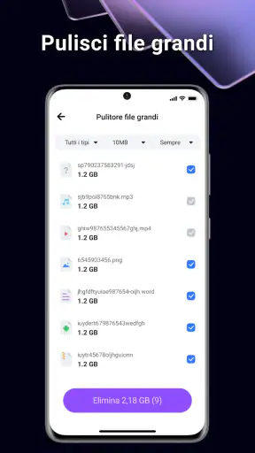 BlazeClean screenshot 4