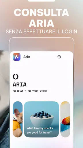 Browser Opera con VPN screenshot