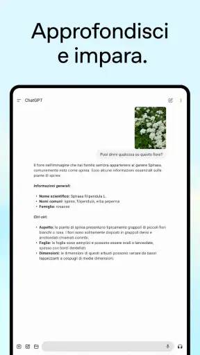 ChatGPT screenshot 10