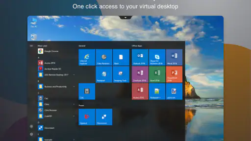 Citrix Workspace screenshot 9