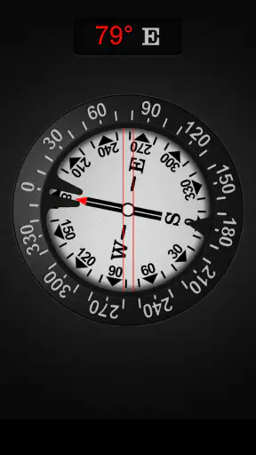 Compass PRO screenshot 2