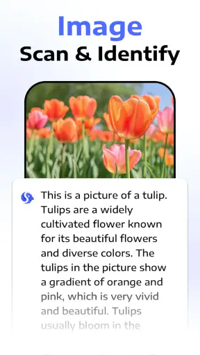 Deep Think - AI Seek Chatbot screenshot 5