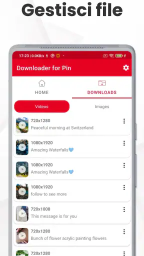 Downloader Video per Pinterest screenshot 5