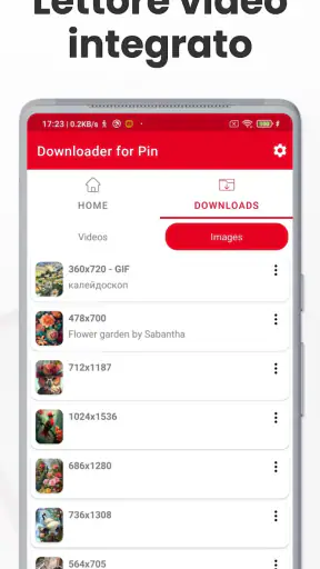Downloader Video per Pinterest screenshot 6