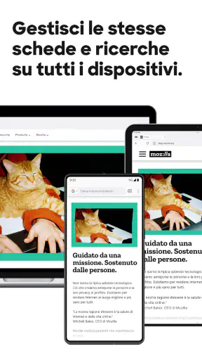 Firefox: il browser riservato screenshot 11