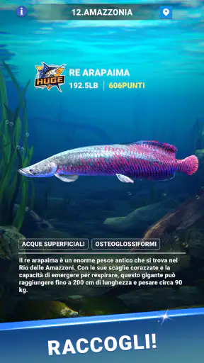 Fishing Travel screenshot 11
