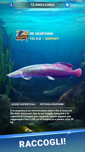 Fishing Travel screenshot 5