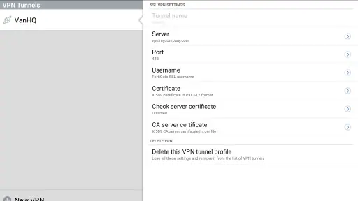 FortiClient VPN screenshot 11