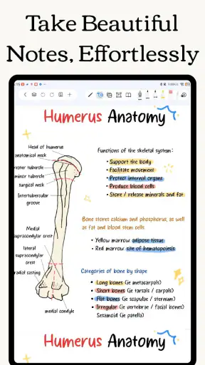 Freenotes: Blocco Note, Memo screenshot 7