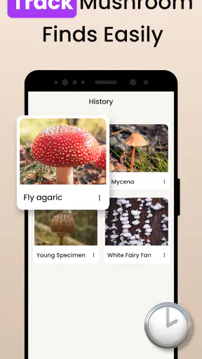 Funghi Riconoscimento Italiano screenshot 10