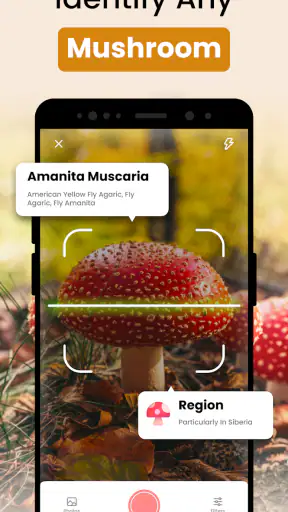 Funghi Riconoscimento Italiano screenshot 7