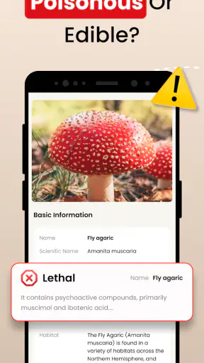 Funghi Riconoscimento Italiano screenshot 8