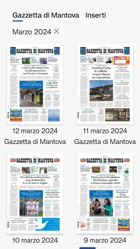 Gazzetta di Mantova screenshot