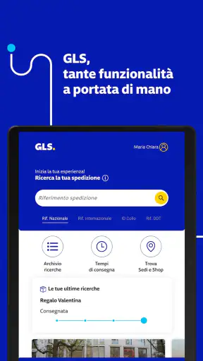 GLS screenshot 6