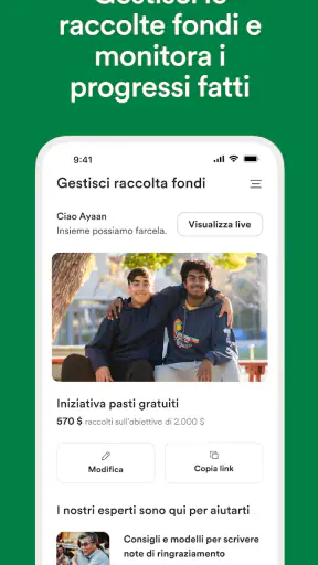 GoFundMe screenshot 2