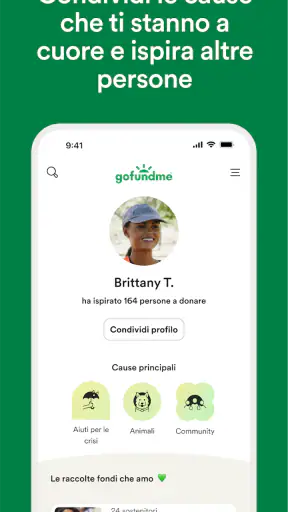GoFundMe screenshot 3