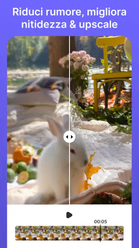 Gomma Video: Oggetti Filigrane screenshot 9