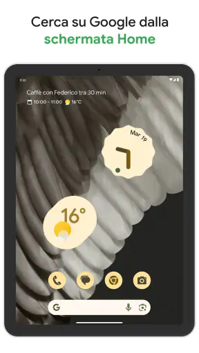 Google screenshot 9