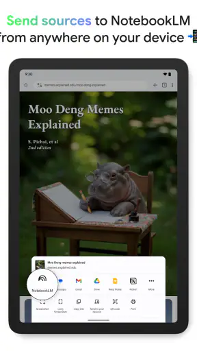 Gemini Notebook screenshot 12