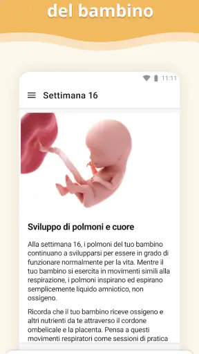 Gravidanza screenshot 2