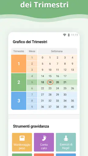 Gravidanza screenshot 7
