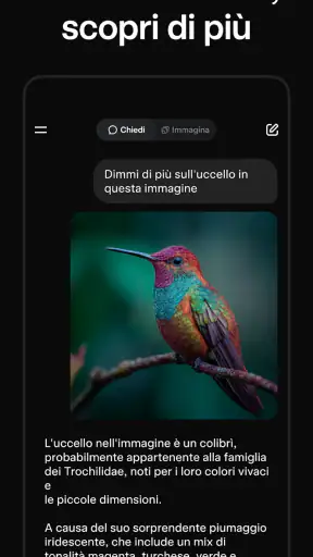 Grok - Assistente IA screenshot 3