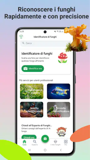 Identificatore di funghi screenshot 1
