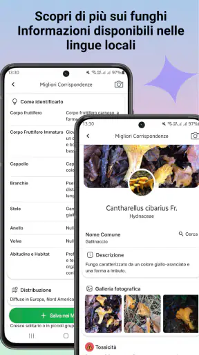 Identificatore di funghi screenshot 2