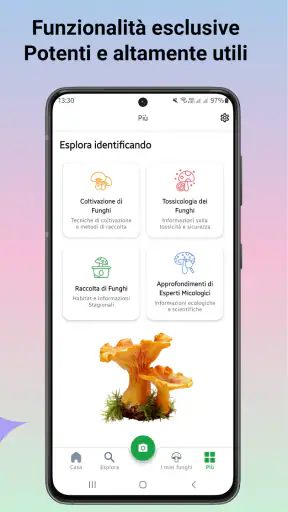 Identificatore di funghi screenshot 3