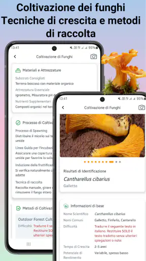 Identificatore di funghi screenshot 4